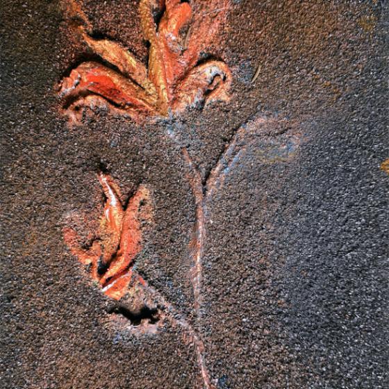 Ironflower02 840